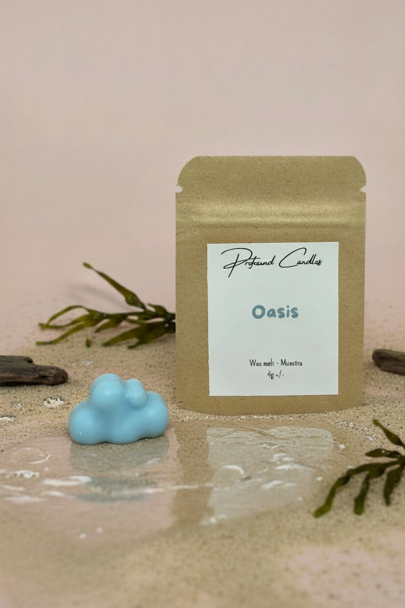 Muestras Wax Melts - Profound Candles